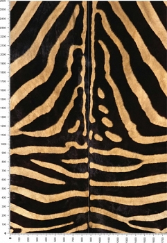 C0043.jpg