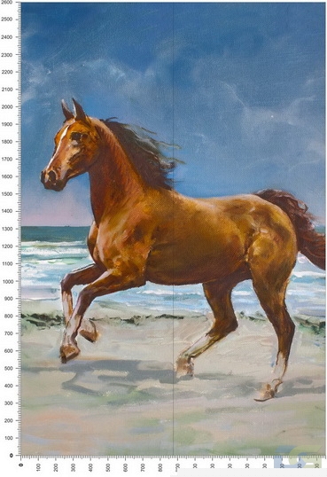 C0228.jpg