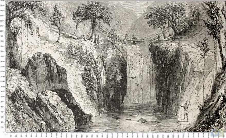 C0371.jpg