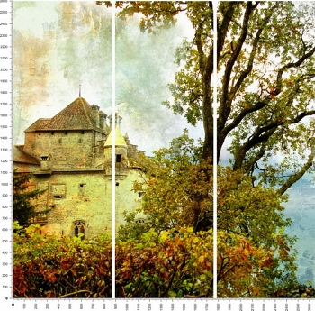 C0020.jpg