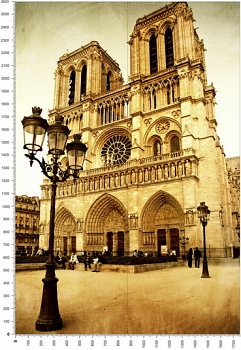 C0313.jpg