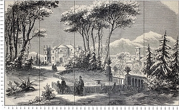 C0558.jpg