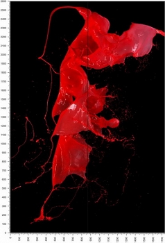 C0666.jpg