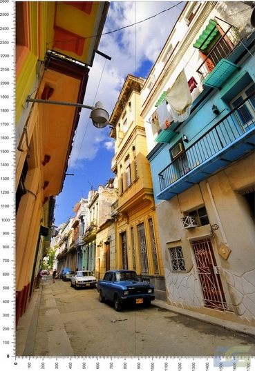 NC0133.jpg
