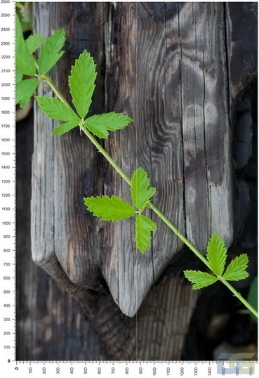 NC0141.jpg