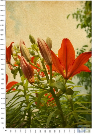 NC0342.jpg