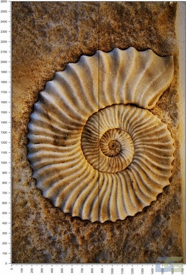 NC0404.jpg