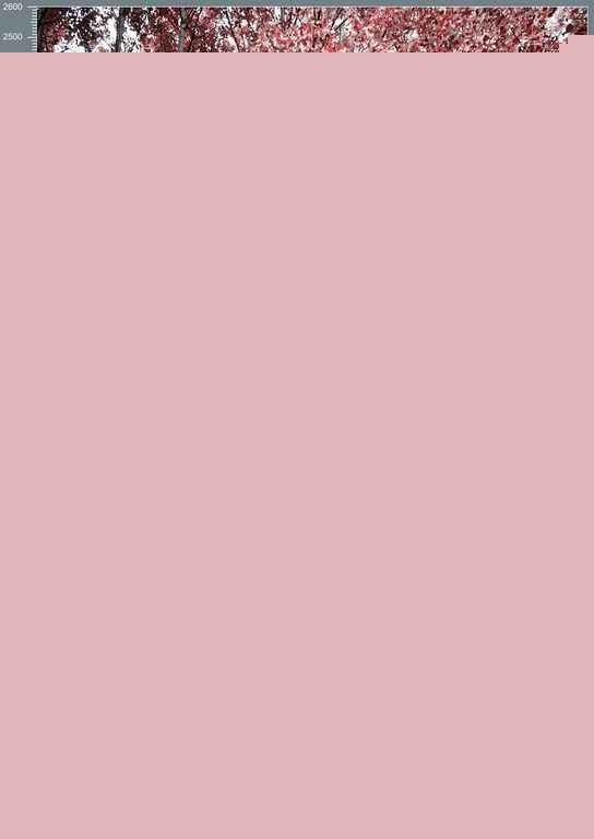 Nshc0091.jpg