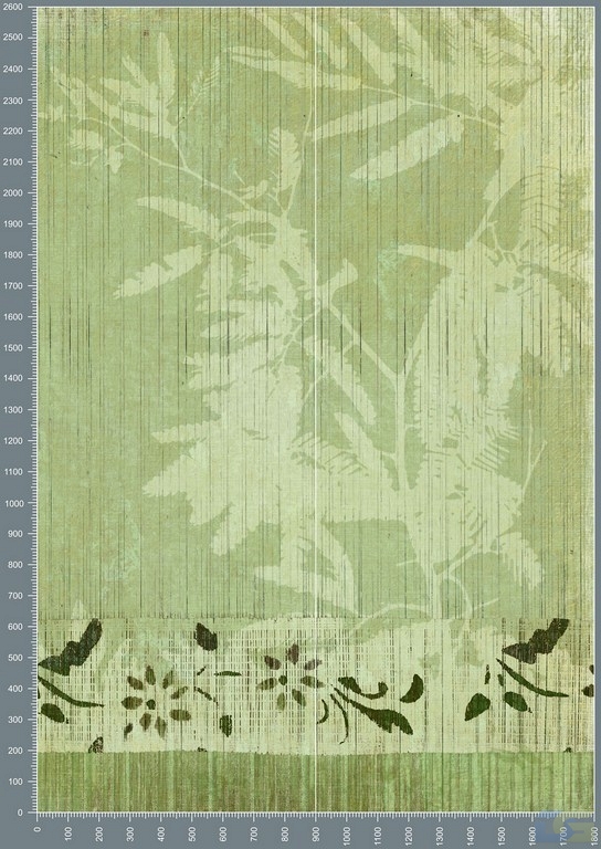 shc0177.jpg