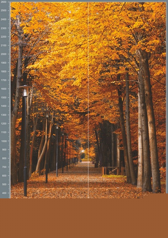 shc0185.jpg