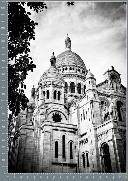 shc0260.jpg