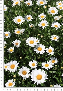 NC0084.jpg