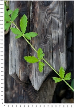NC0141.jpg