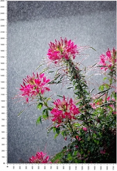 NC0150.jpg