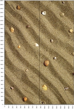 NC0422.jpg