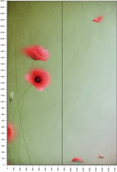NC0805.jpg