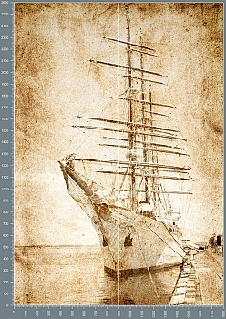 Nshc0004.jpg