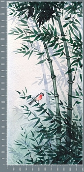 Nshc0026.jpg