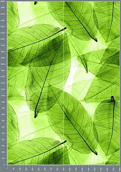 Nshc0027.jpg