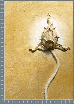 Nshc0087.jpg