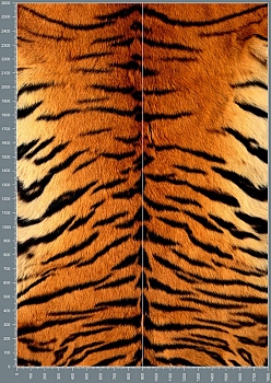 Nshc0093.jpg