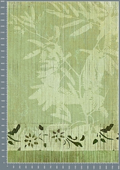 Nshc0177.jpg