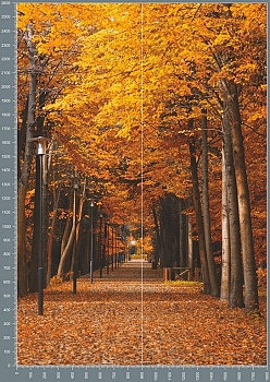 Nshc0185.jpg