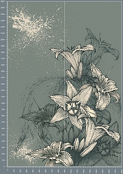 Nshc0188.jpg