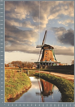 Nshc0229.jpg