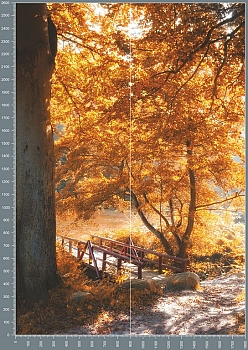 Nshc0268.jpg