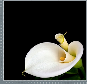 shc0202.jpg