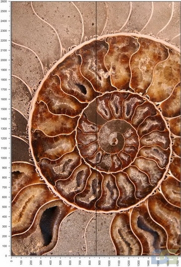 C0405.jpg
