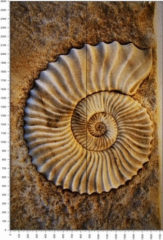 C0404.jpg