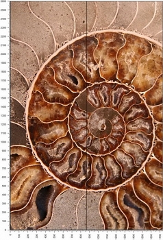 C0405.jpg