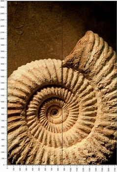 C0423.jpg