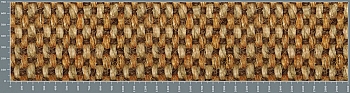 sg1127.jpg