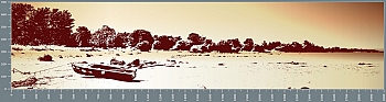 sg1261.jpg