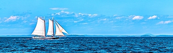 sea177.jpg