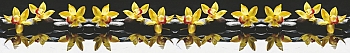 spa12.jpg