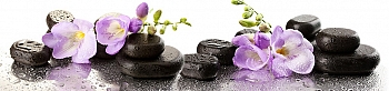 spa1716.jpg