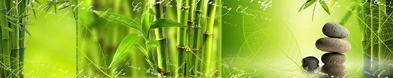 3dSKINALI_4001_608.jpg