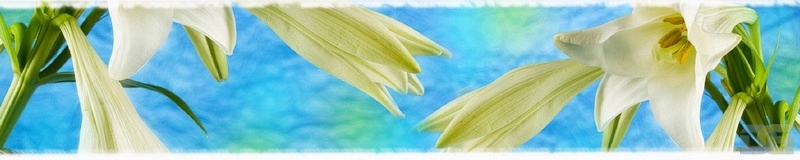 3dSKINALI_4001_618.jpg