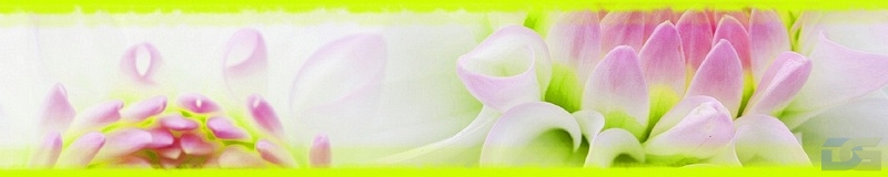 3dSKINALI_4001_620.jpg