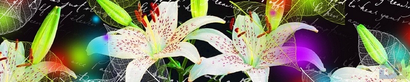 3dSKINALI_4001_628.jpg
