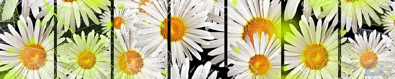 3dSKINALI_4001_630.jpg