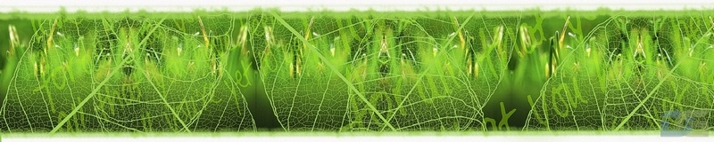 3dSKINALI_4001_631.jpg
