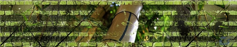 3dSKINALI_4001_637.jpg