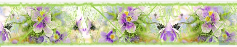 3dSKINALI_4001_655.jpg