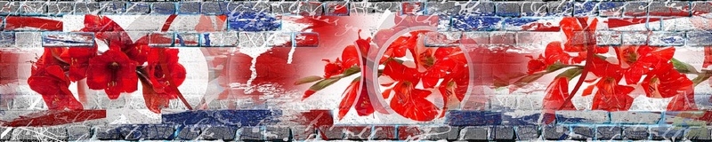 3dSKINALI_4001_663.jpg