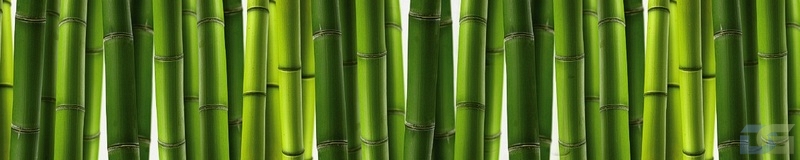 3dSKINALI_4001_679.jpg